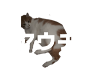 845346905