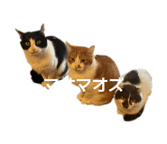 845346907
