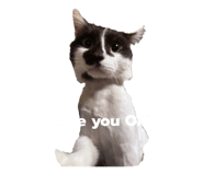 845346912