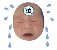 845346930