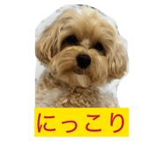 845346979