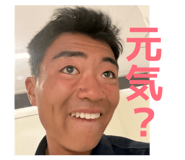 845347067