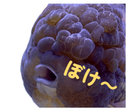 845347286