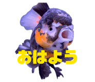 845347293
