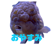 845347294