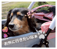 845347350