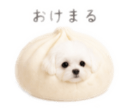 845347583