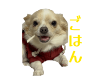845347619