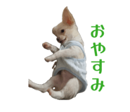 845347621