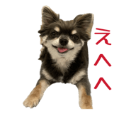 845347622