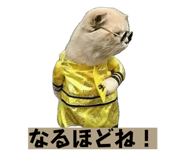 845347642