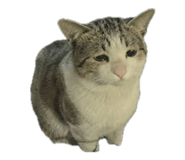 845347645