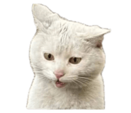 845347646