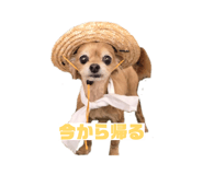 845347651