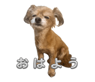 845347655