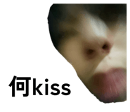 845347696