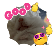 845347723