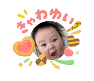 845347772