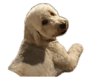 845347823