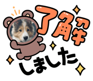 845348093