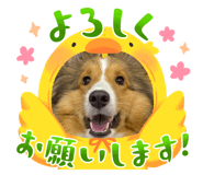 845348101