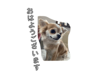 845348116