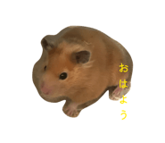 845348202