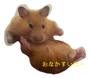 845348204