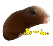 845348205