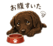845348223