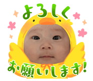 845348271