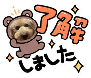 845348370