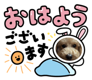 845348374