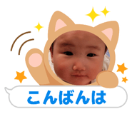 845348406