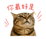 845364384