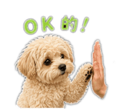 845364449