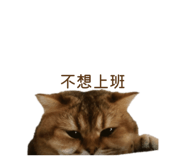 845364482