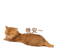 845364485