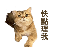 845364492