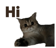 845364493