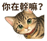 845365636