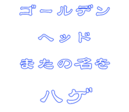 845366206