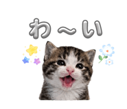 845366495