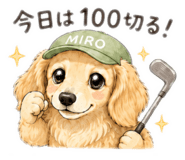 845366833