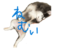 845369073