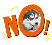 845369074