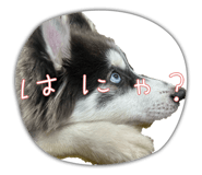845369087