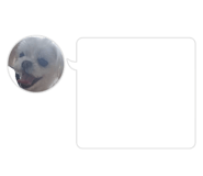 845369362