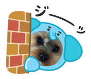 845369366