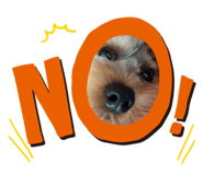 845369369